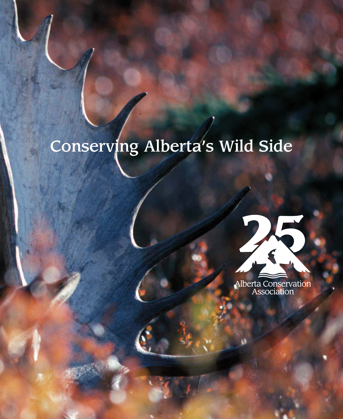 Cover of the ACA 25th anniversary book